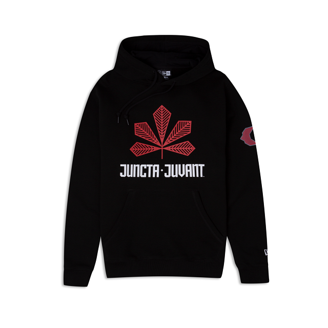 Cincinnati Reds City Connect Alt Hoodie