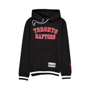 Toronto Raptors Team Color Logo Select Hoodie