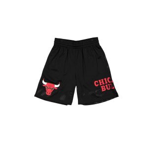 Chicago Bulls Mesh Black Shorts