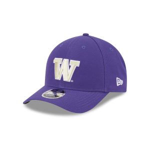 Washington Huskies Team 9FORTY M-Crown Snapback Hat