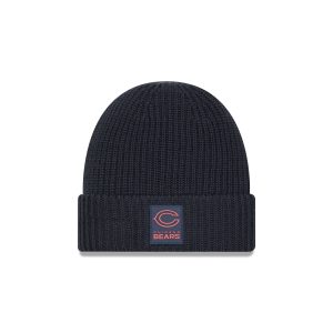 Chicago Bears 2025 Sideline Cold Weather Steel Clouds Cuff Knit Beanie