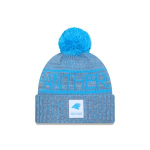 Carolina Panthers 2025 Sideline Cold Weather Gray Pom Knit Hat