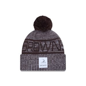 Cleveland Browns 2025 Sideline Cold Weather Gray Pom Knit Hat