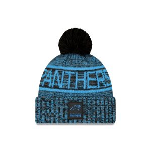 Carolina Panthers 2025 Sideline Cold Weather Black Pom Knit Hat