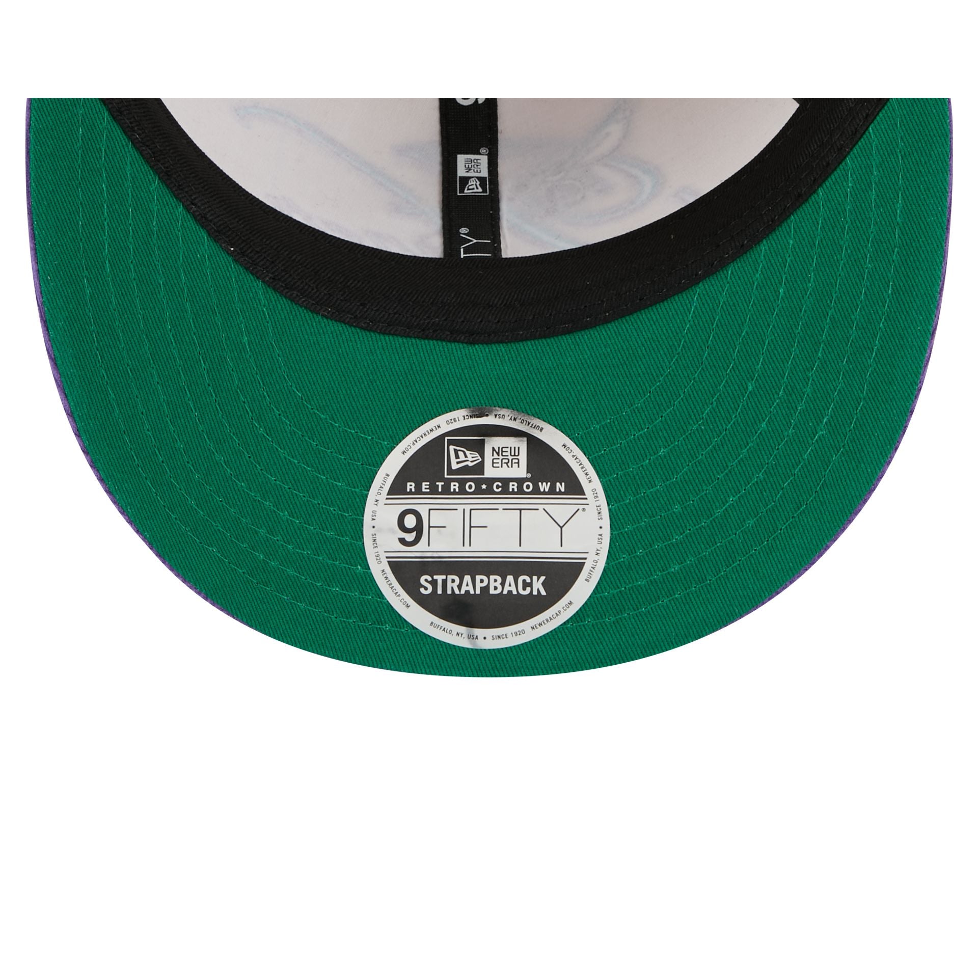 Charlotte Hornets Pinstripe Script Retro Crown 9FIFTY Adjustable Hat - Image 7